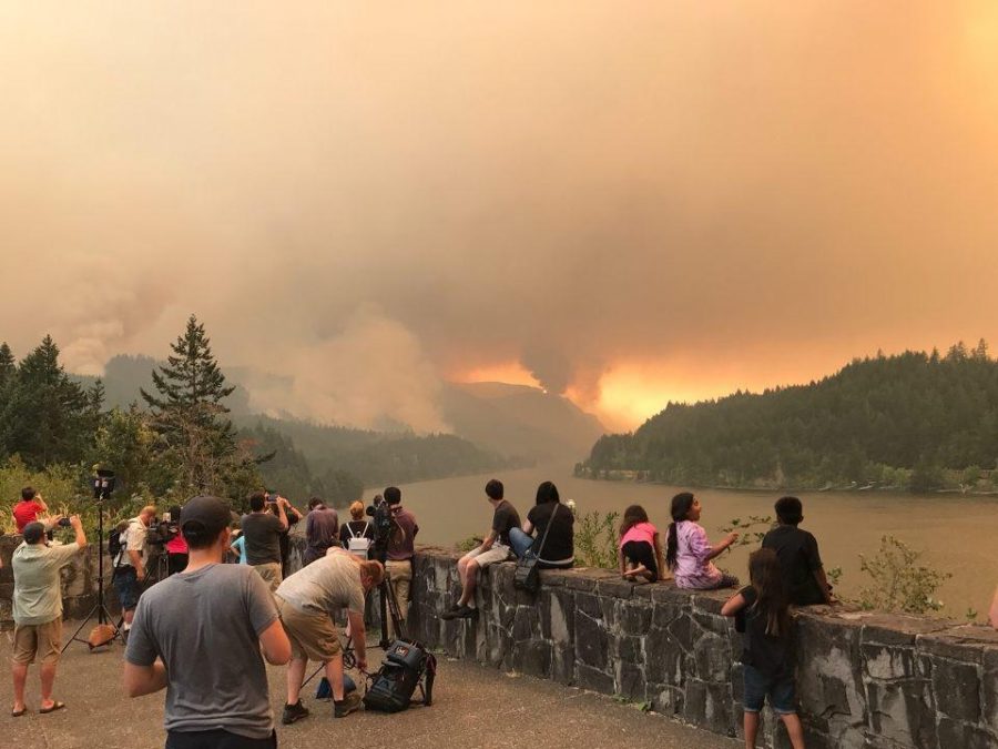 Onlookers watching the fire burn in gorge

PHOTO COURTESY OF THE U.S. FOREST SERVICE