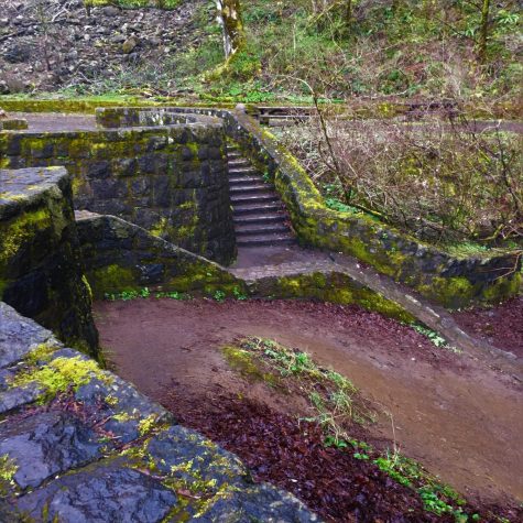 The first thing you see when you pull up to the falls are these stairs that lead directly to the waterfall and river area. Be careful these stairs are often slippery and should be used with caution. The stairs themselves are made of mossy stone and are a beautiful addition to the falls.